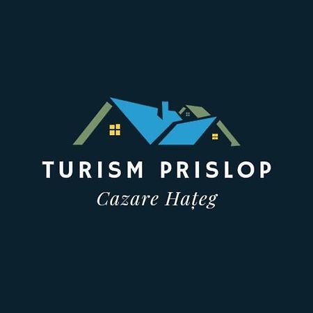 Hotel Cazare Turism Prislop à Haţeg Extérieur photo