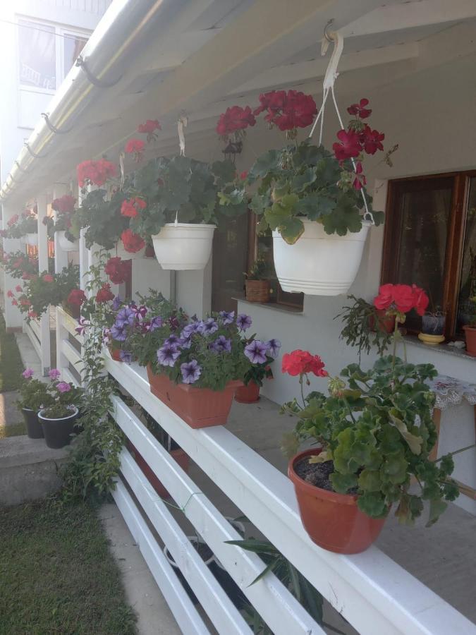 Hotel Cazare Turism Prislop à Haţeg Extérieur photo