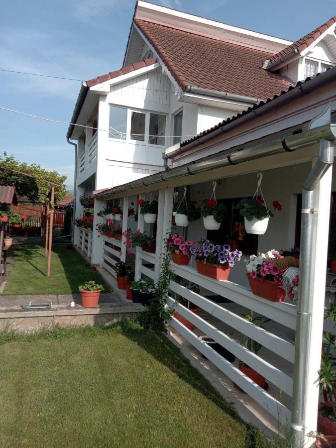 Hotel Cazare Turism Prislop à Haţeg Extérieur photo